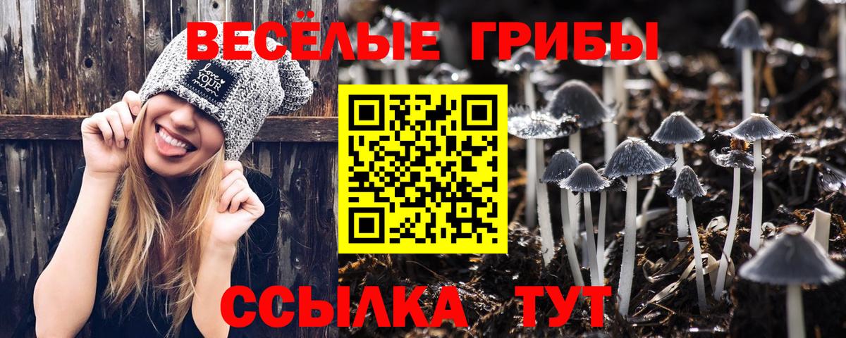 Галлюциногенные грибы Psilocybine cubensis  Псилоцибиновые грибы мицелий  Вход с VPN  Киселёвск 